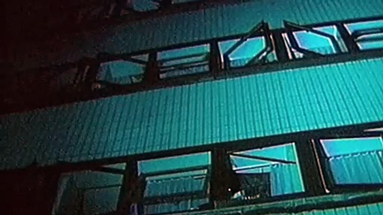 Cinéma Cinémas Action Directe : la Guerre de l'Ombre (2008) Film français complet