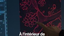BRUT. DEMAIN — Elles étudient le cancer du sein post-partum.