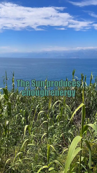 Mind-Blowing Facts That Will Change How You See the World _ Shocking & Educational Facts