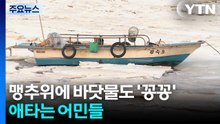 맹추위에 바닷물도 ’꽁꽁’...애타는 어민들 / YTN