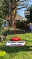This French Bulldog Plays Swingball Better Than Most Humans 😂|| Heartsome 💖