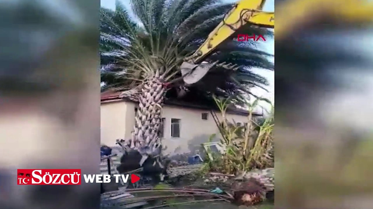 Kaş'ta fırtınadan seralar zarar gördü, ağaçlar devrildi