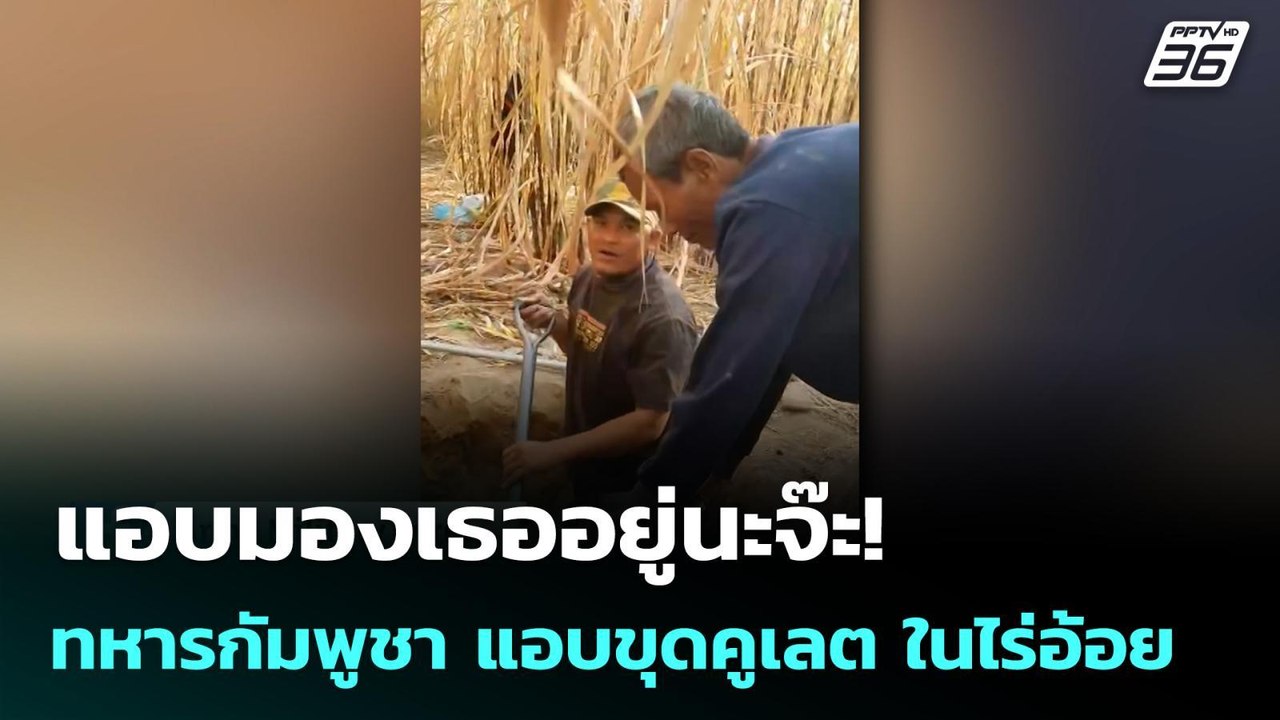 แอบมองเธออยู่นะจ๊ะ!  ทหารกัมพูชา แอบขุดคูเลต ในไร่อ้อย | เข้มข่าวค่ำ | 22 ม.ค. 69