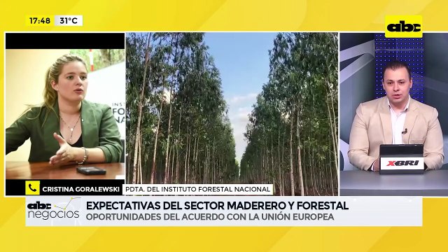 ABC Negocios: Expectativas del sector maderero y forestal