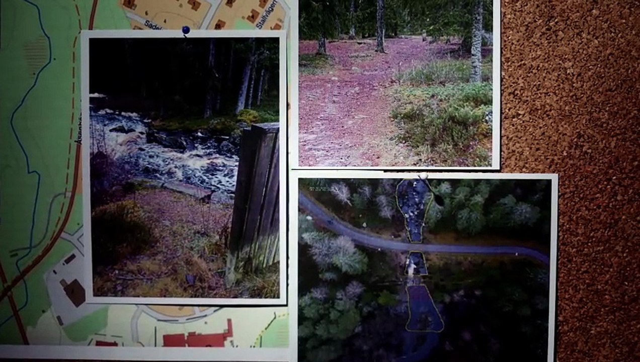 svenska fall s15e01 swedish ollonborre