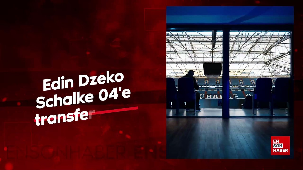 Edin Dzeko, Schalke 04'e transfer oldu