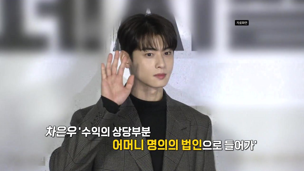 차은우 200억? 1인 기획사, 가족 법인까지‥잇따르는 연예계 꼼수 탈세 의혹 [앵커...