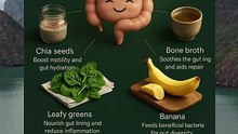 gut healing foods
