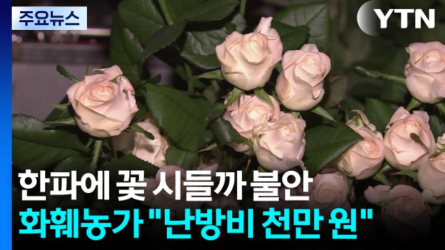 한파에 꽃 시들까 불안...화훼농가 난방비 천만 원 / YTN
