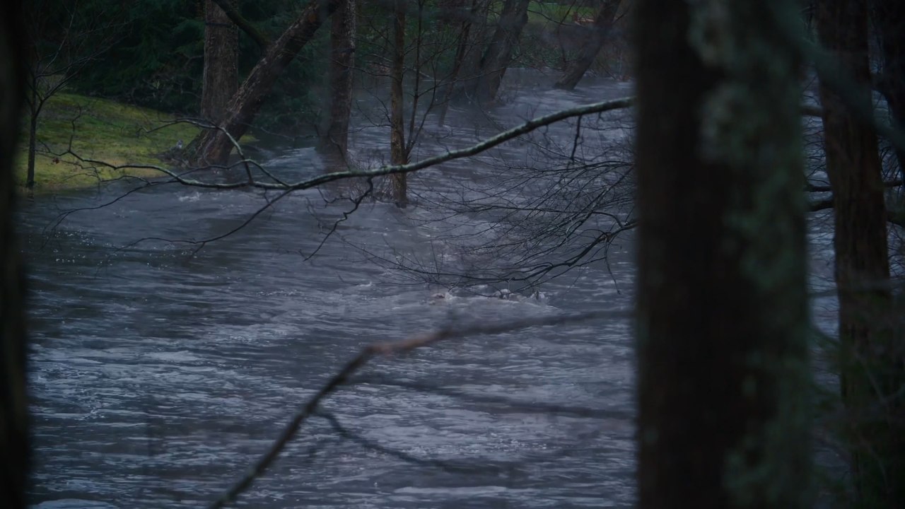 Nature loss could drive up food prices and affect UK households