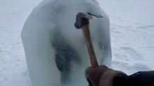 Freeing The Frozen Penguins in Arctic #arctic  #animal #frozen  #ice #penguin  #ai #sora2