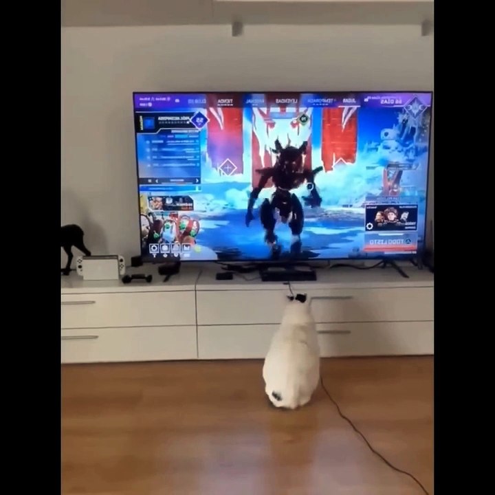 TRY NOT TO LAUGH