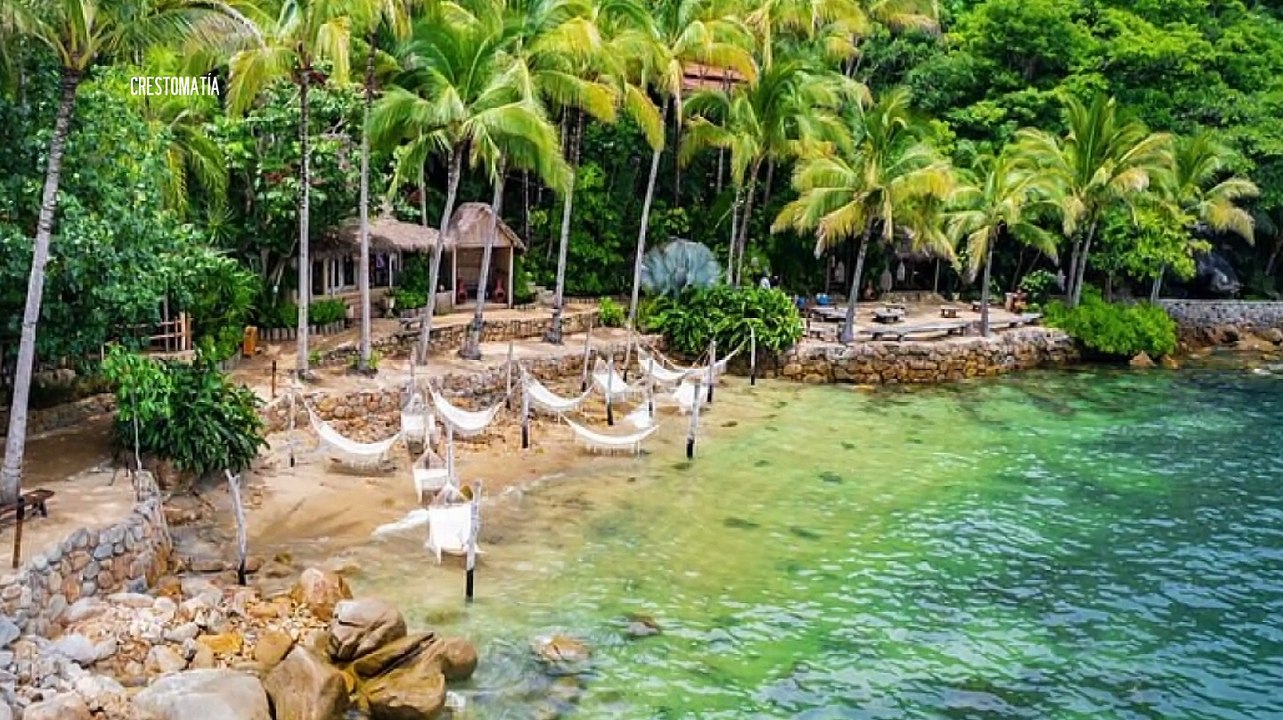 Turista fallece tras caída en Caletas, Puerto Vallarta | CPS Noticias Puerto Vallarta