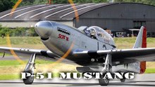 P-51 Mustang 🤩🤩 SPOTTER 🤩🤩Florennes