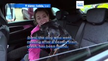 Lost and found: Missing dog Boro found safe after Spanish train crash