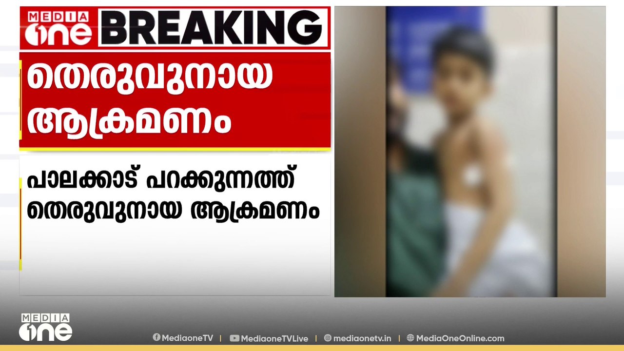 പാലക്കാട് തെരുവ്നായ ആക്രമണം; വീട്ടുമുറ്റത്ത് കള...