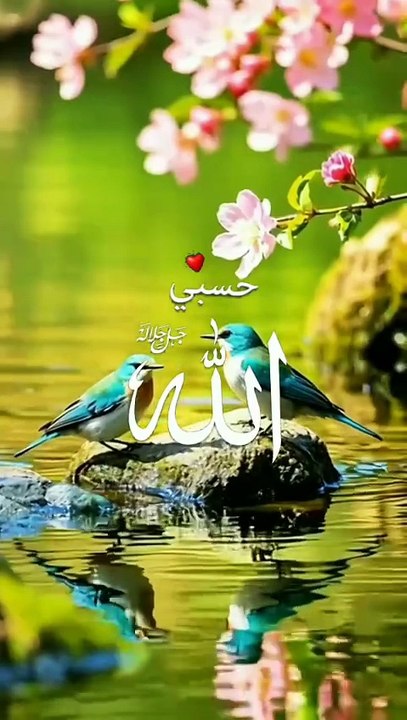 Telawet quran