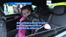 Rescatan con vida a Boro: el perro que desapareció en el choque de trenes en España