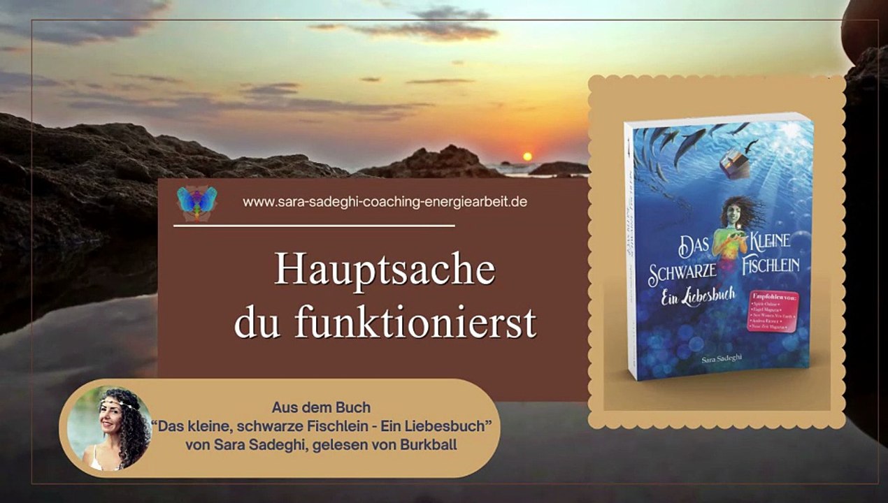 Das kleine schwarze Fischlein: 'Hauptsache du funktionierst'