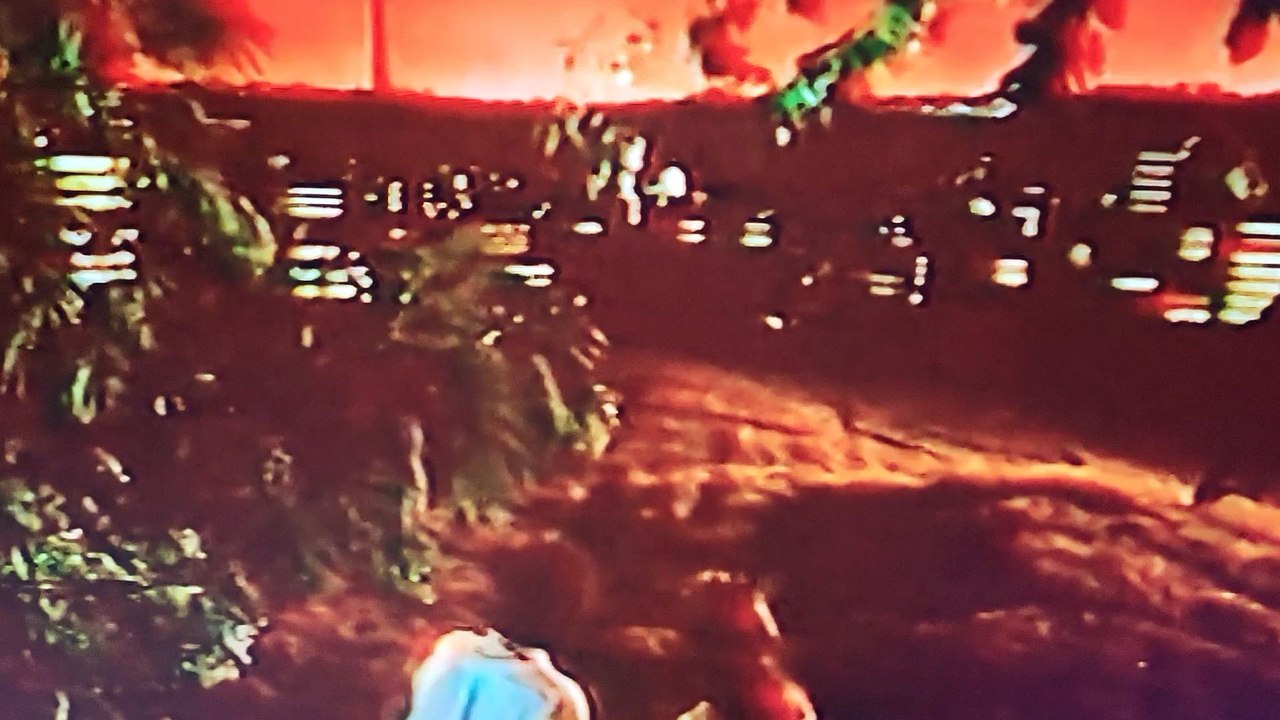 Alain Souchon : Banale song