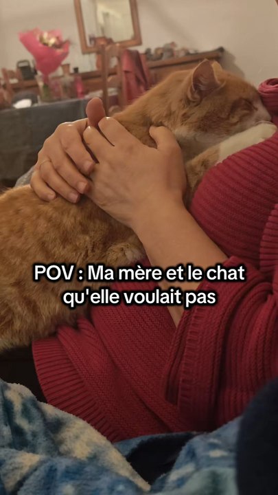 Elle le voulait pas à la base