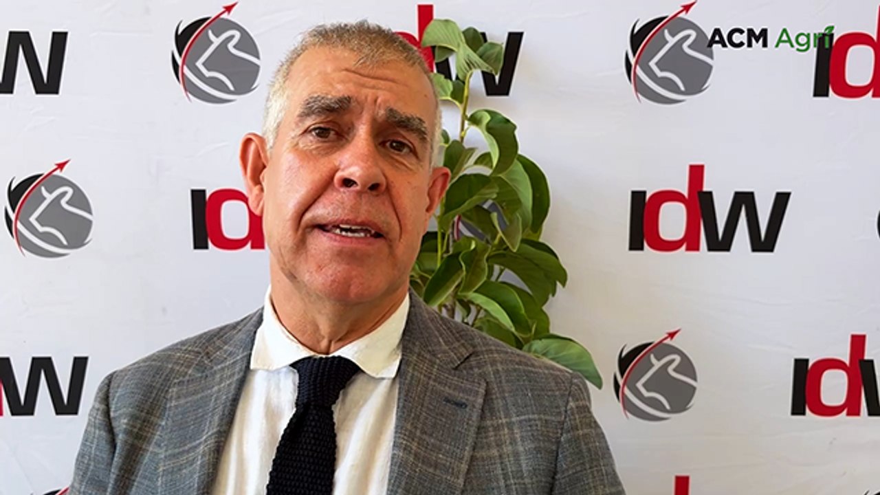Holstein judge on the traits that win at International Dairy Week