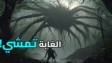 أشجار تمشي في الظلام! لغز غابات الأمازون الذي سيصدمك