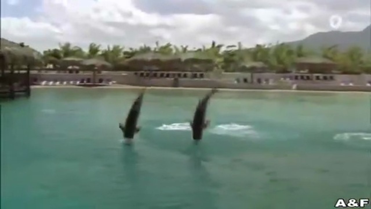 Das Traumhotel -09- Karibik