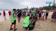 Turtle release