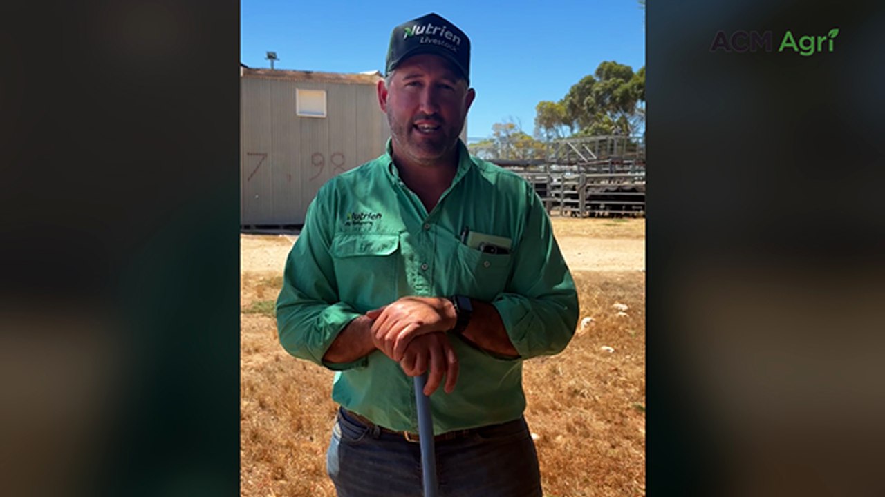 Strathalbyn store sale - January 23, 2026