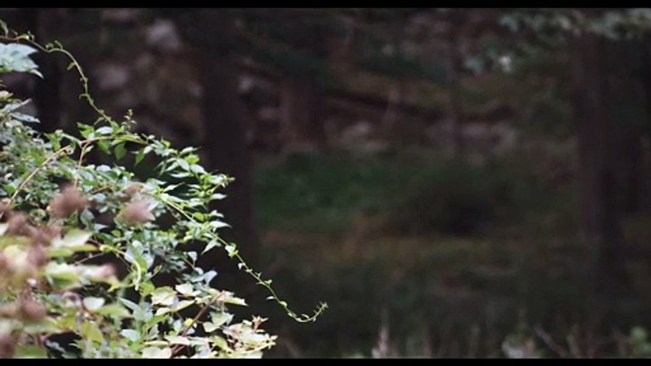 The Calling Witch Movie