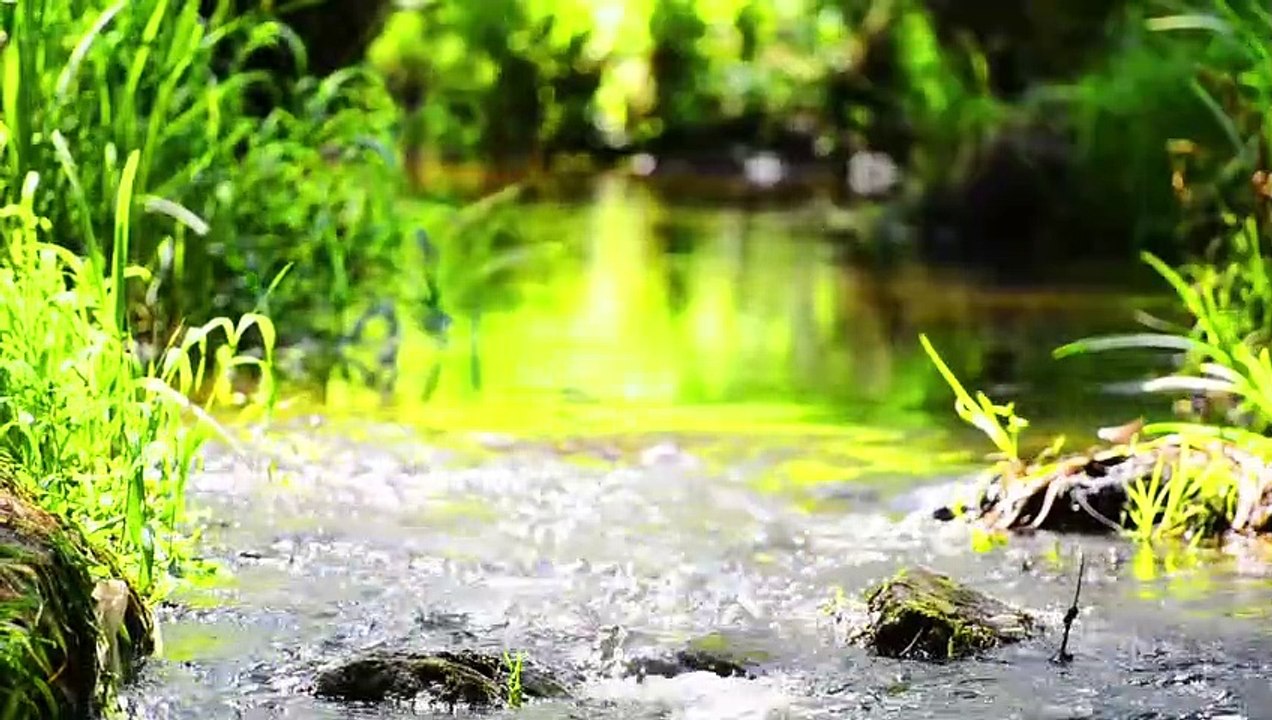 Soothing Music For Nerves Healing Music For The Heart And Blood Vessels, Peaceful Relaxation