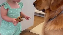 Animals and Baby's funny Conversations