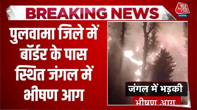 जम्मू-कश्मीर: पुलवामा के जंगलों में भड़की भीषण आग, दिखा लपटों का भयावह मंजर
