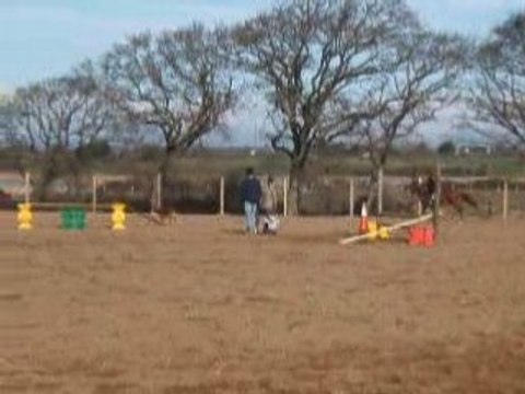 MOii et luii ... galOp 4 ... x3