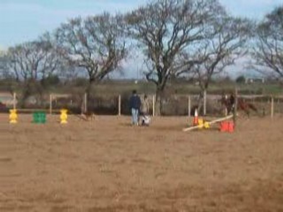 MOii et luii ... galOp 4 ... x3