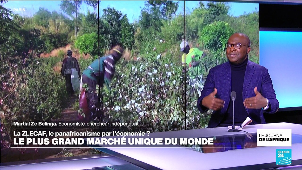 La ZLECAf, une promesse africaine au défi des chaînes de valeur mondiales