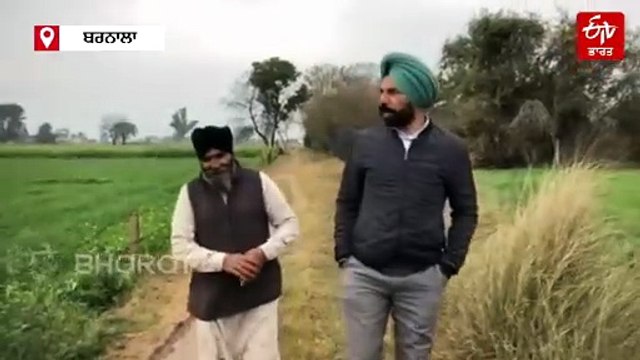 ਫਿੱਕਾ ਪਿਆ ਬਸੰਤ ਦਾ ਤਿਉਹਾਰ, ਪੈ ਗਿਆ ਮੀਂਹ, ਖਾਲੀ ਦਿਖੇ ਆਸਮਾਨ, ਕਿਸਾਨਾਂ ਦੇ ਖਿੜੇ ਚਿਹਰੇ