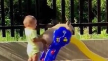Baby's and pet's funny cute video