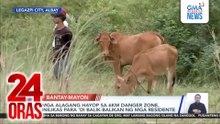 Mga alagang hayop sa 6km danger zone, inilikas para ‘di balik-balikan ng mga residente | 24 Oras