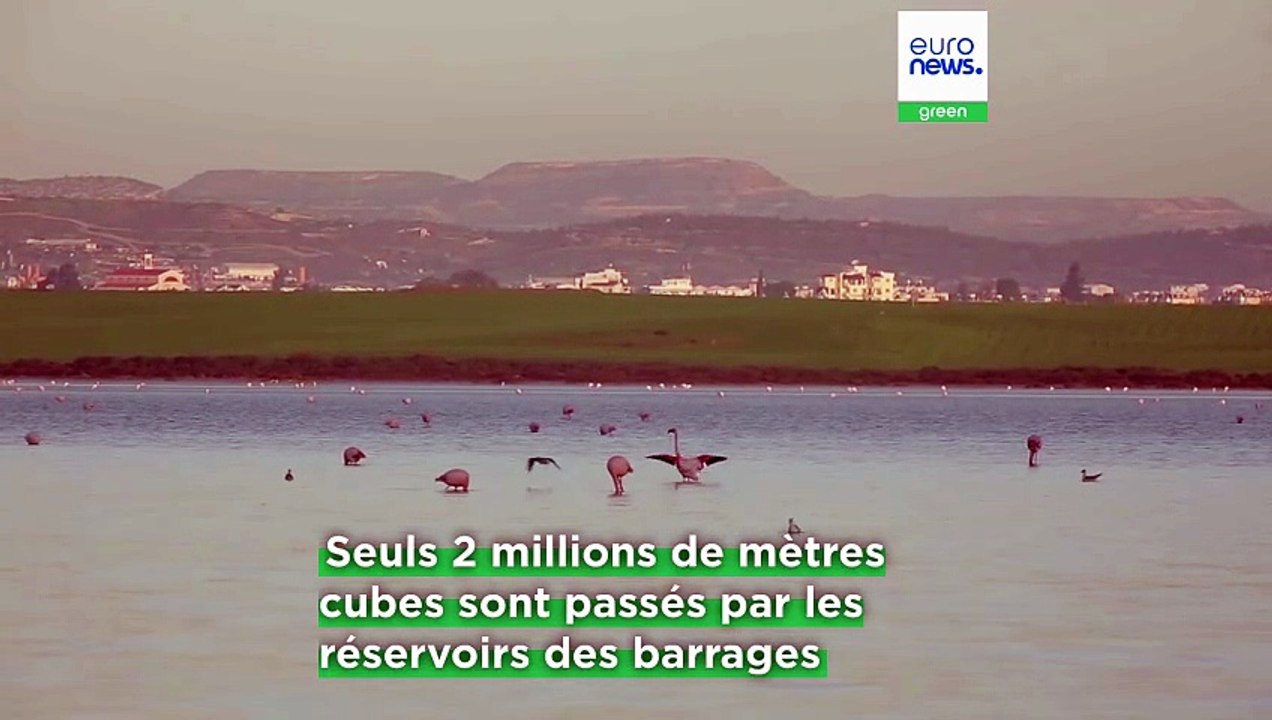 Chypre menacée de pénurie d'eau, les autorités adoptent des mesures d'urgence