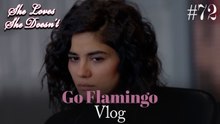 Go Flamingo Vlog #72