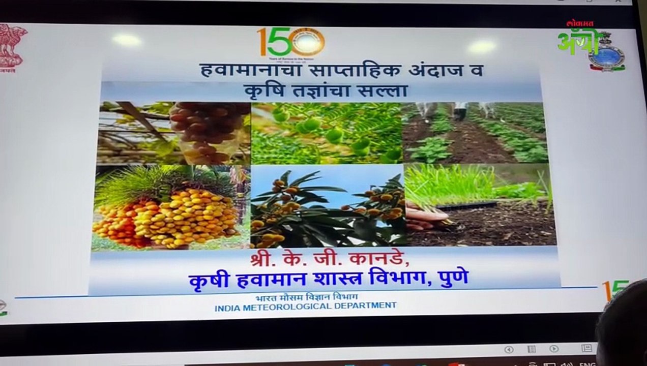 कोणत्या जिल्ह्यात किती थंडी? हवामान विभागाचा अंदाज