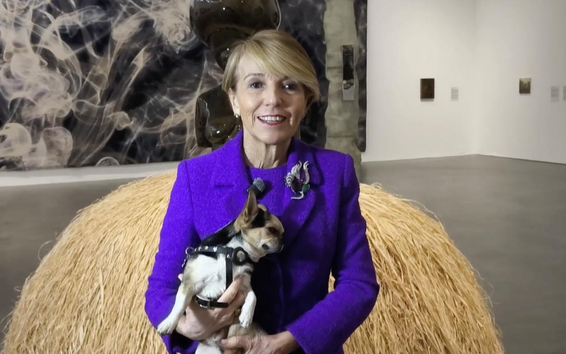 Al museo col proprio cane: l'iniziativa del museo Rebaudengo di Torino