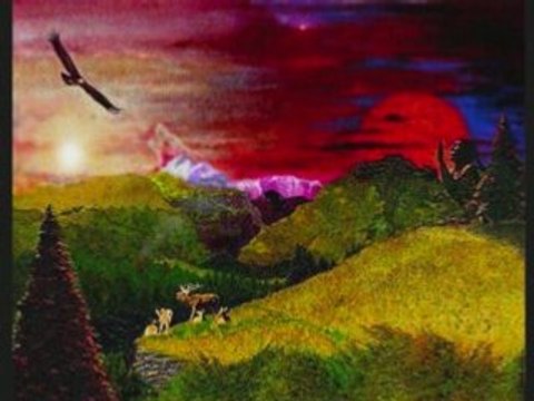 Suzanne Graeme Allwright