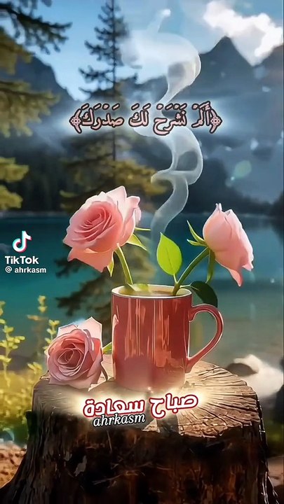 Alam Nashrah Laka Sadrak | This Bayan Can Change Your Life | Islamic Motivation-Dailymotion
