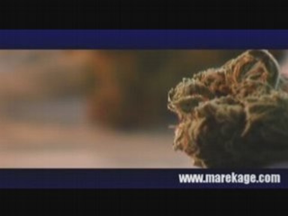 MAREKAGE STREETZ BALI ET A'S INDEPENDANCE DAYZ