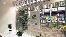CSC GOETTINGEN   CANNABIS SOCIAL CLUB TV-20240426  CSC, GRATIS HANPFLANZEN CANNABIS SOCIAL CLUB, #CSC, GRATIS, #HANPFLANZEN,   #CANNABIS SOCIAL CLUB, CSC, #GRATIS HANPFLANZEN, #CannabisSocialClub,