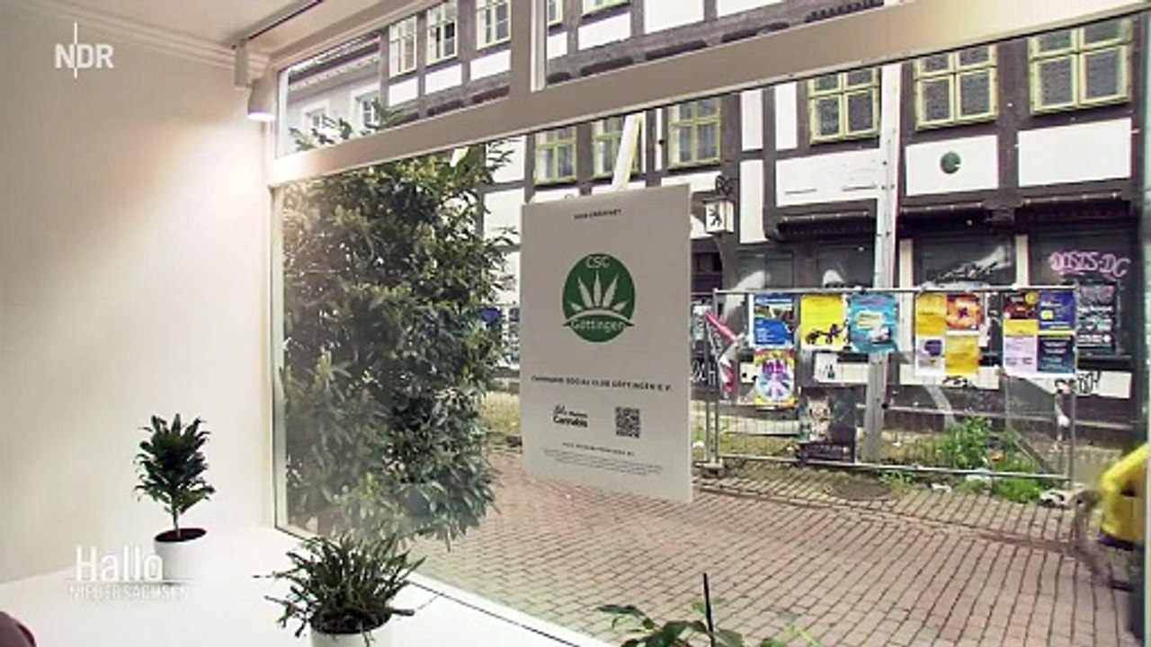CSC GOETTINGEN   CANNABIS SOCIAL CLUB TV-20240426  CSC, GRATIS HANPFLANZEN CANNABIS SOCIAL CLUB, #CSC, GRATIS, #HANPFLANZEN,   #CANNABIS SOCIAL CLUB, CSC, #GRATIS HANPFLANZEN, #CannabisSocialClub,