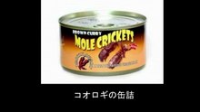 【豆知識】世界ゲテモノ缶詰・保存食　【Trivia News】World's Weirdest Canned Foods & Preserved Foods